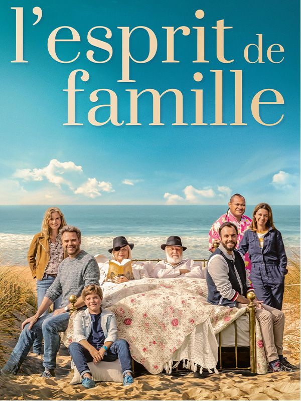 Affiche du film L'esprit de famille