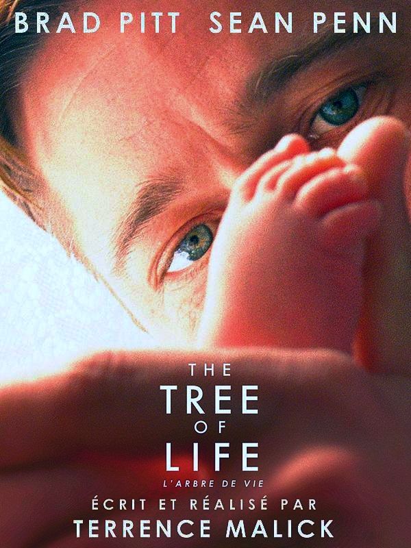 Affiche du film The Tree of Life : l'arbre de vie