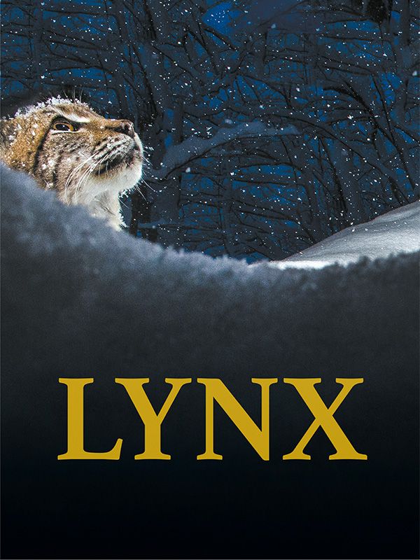 Affiche du film Lynx