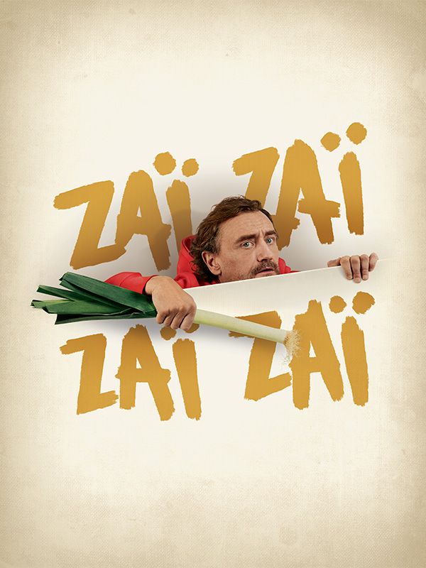 Affiche du film Zaï zaï zaï zaï