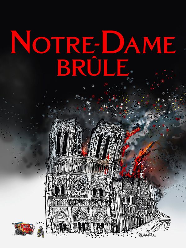 Affiche du film Notre-Dame brûle