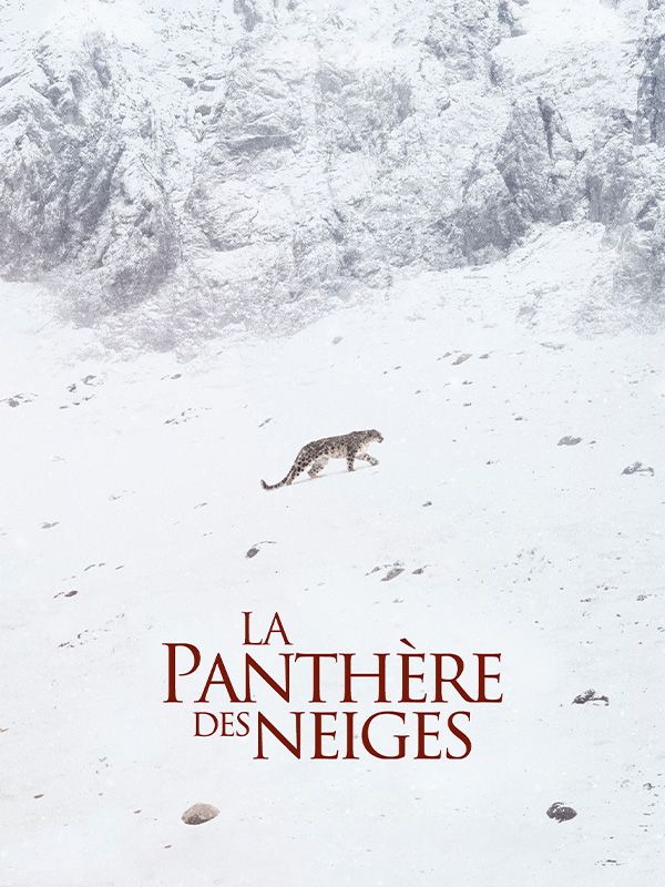 Affiche du film La panthère des neiges