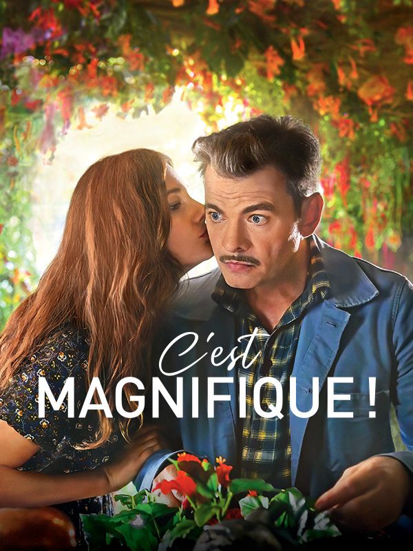 Affiche du film C'est magnifique !