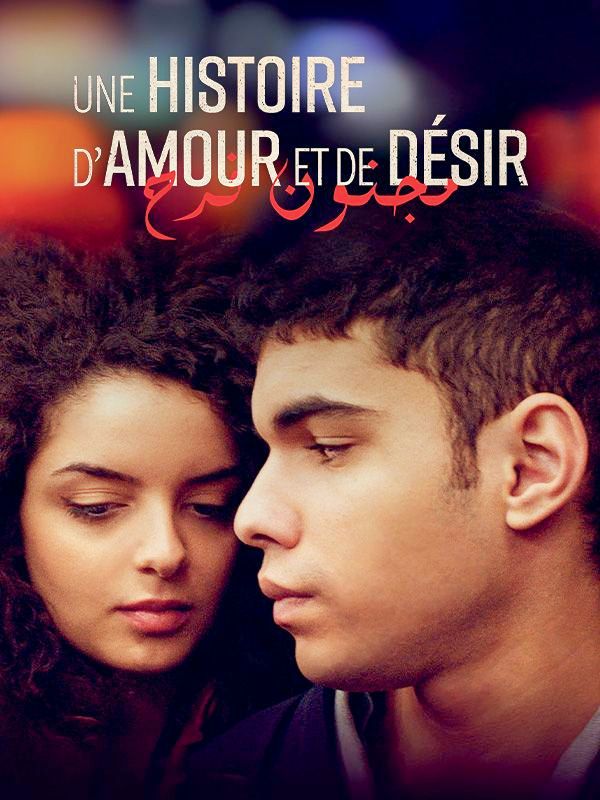 Affiche du film Une histoire d'amour et de désir