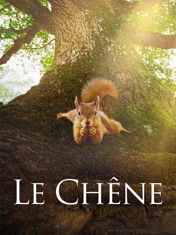 Affiche du film Le Chêne