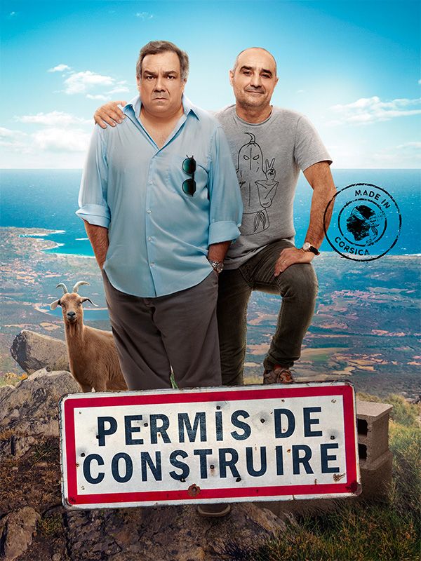 Affiche du film Permis de construire