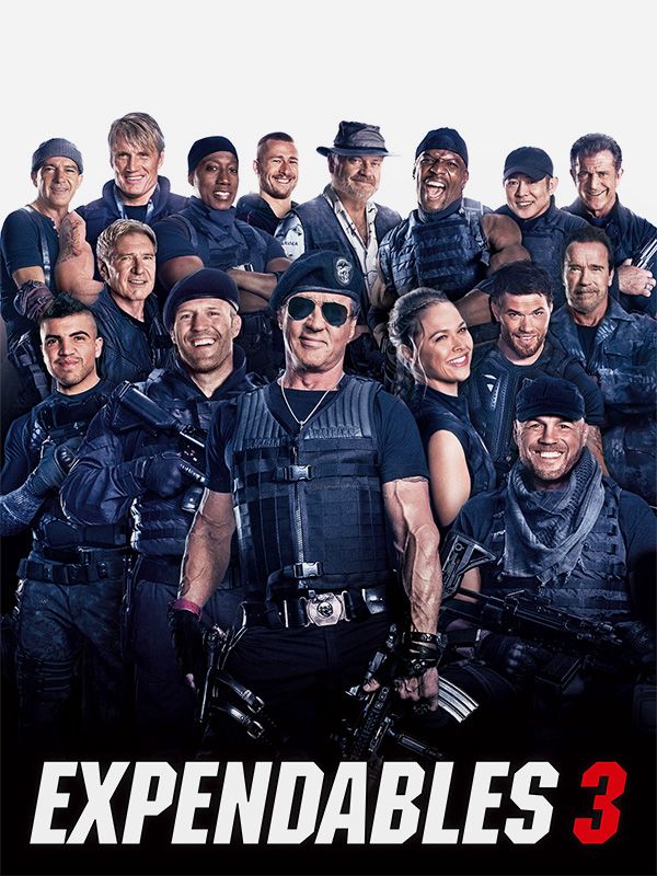 Affiche du film Expendables 3