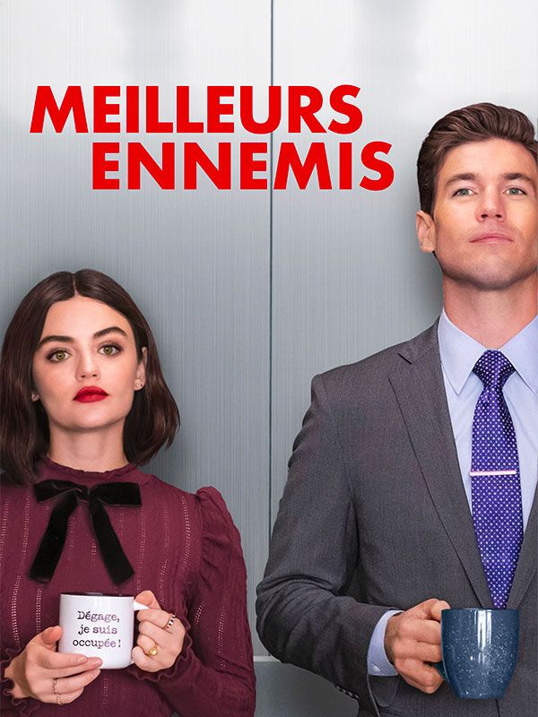 Affiche du film Meilleurs ennemis