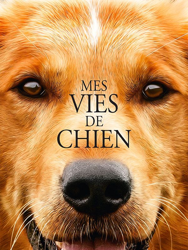 Affiche du film Mes vies de chien