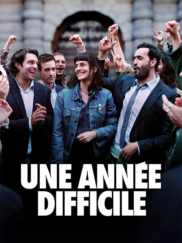 Affiche du film Une année difficile