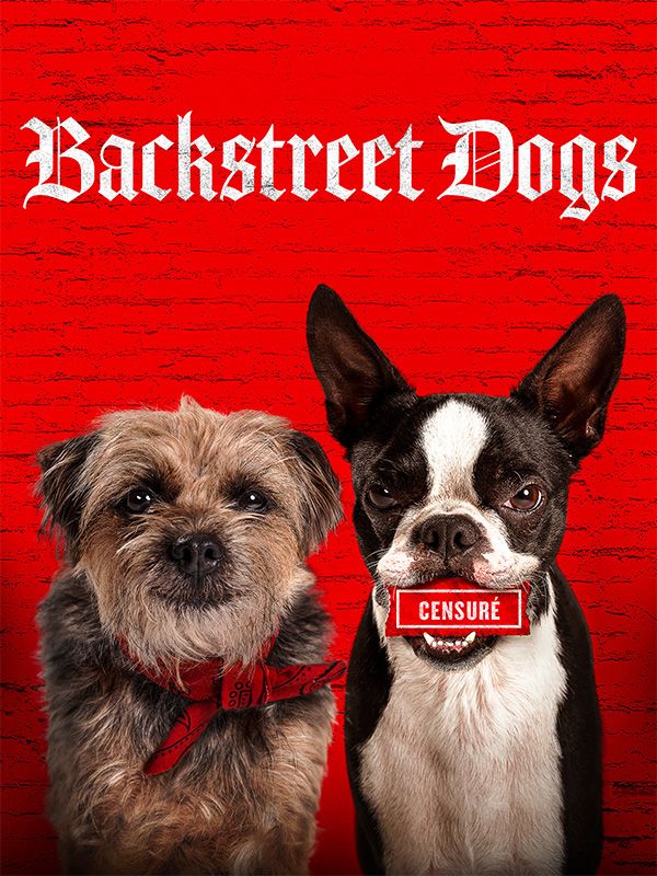 Affiche du film Backstreet Dogs