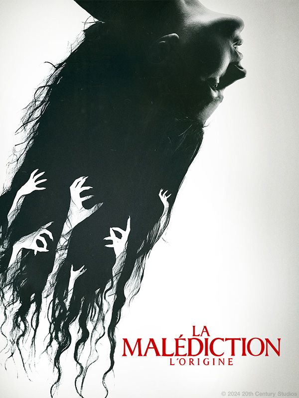 Affiche du film La Malédiction : L'origine