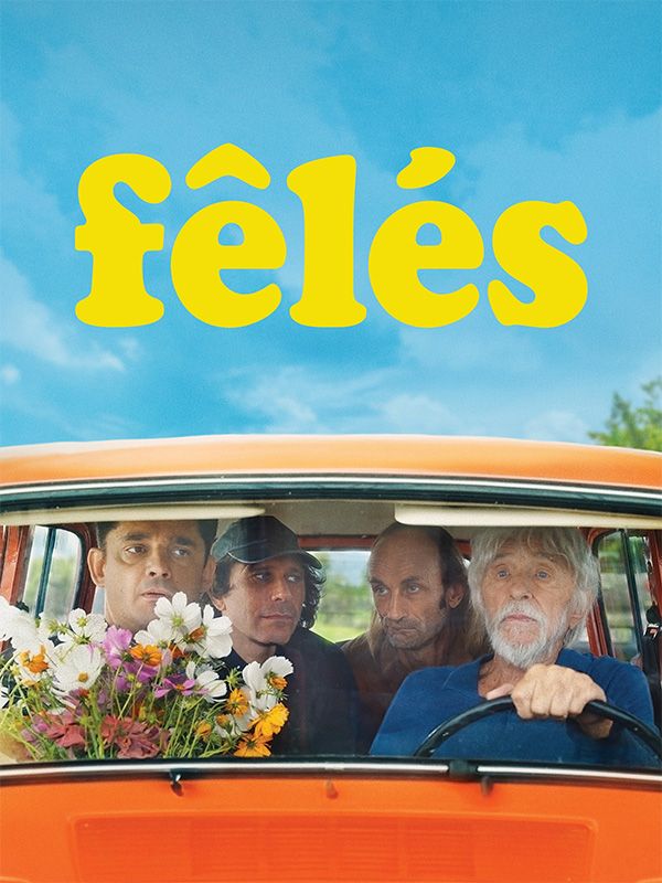 Affiche du film Fêlés