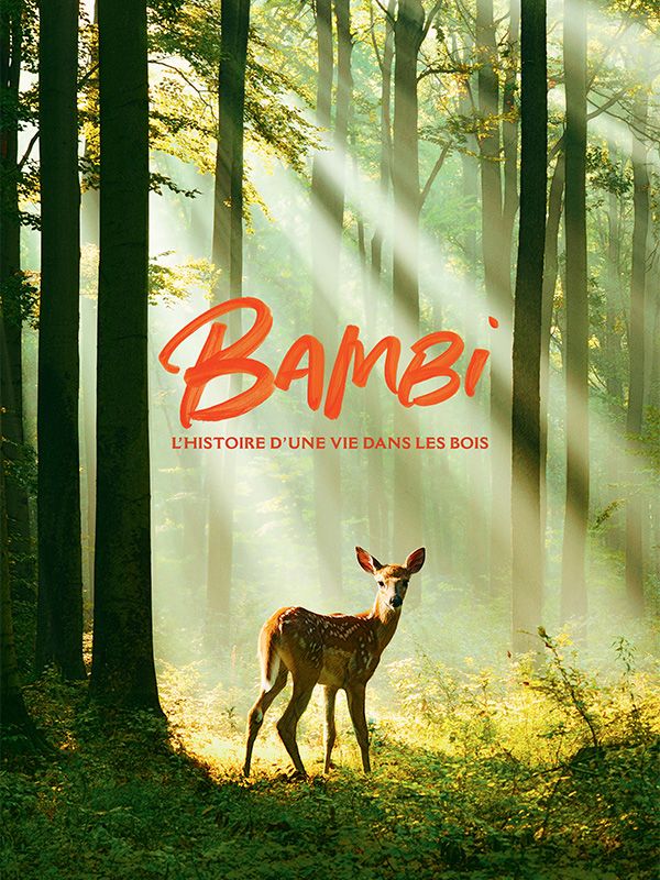 Affiche du film Bambi, l'histoire d'une vie dans les bois