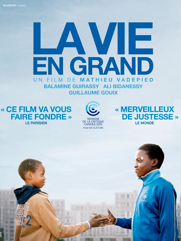 Affiche du film La vie en grand