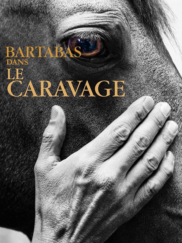 Affiche du film Le Caravage