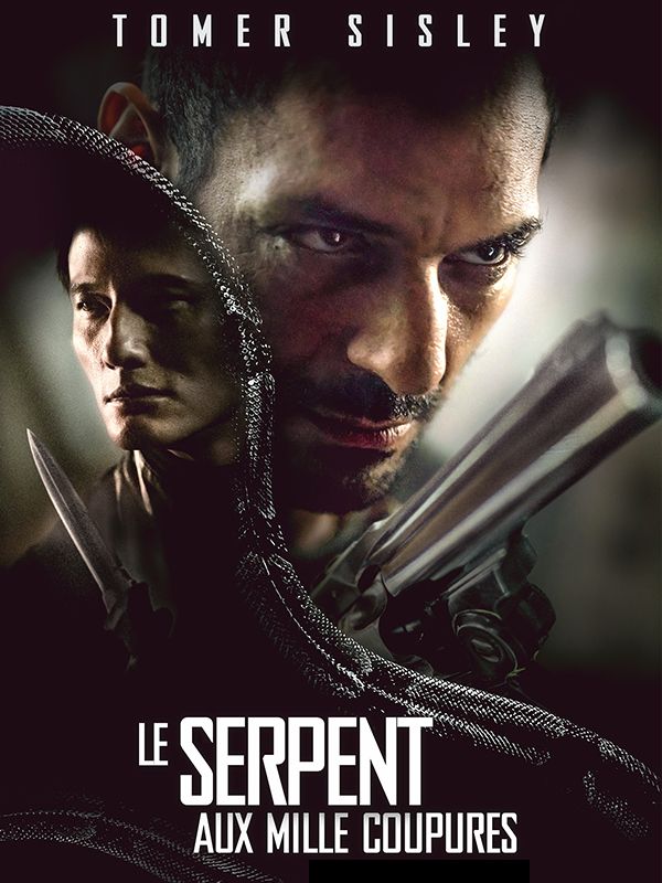 Affiche du film Le serpent aux mille coupures