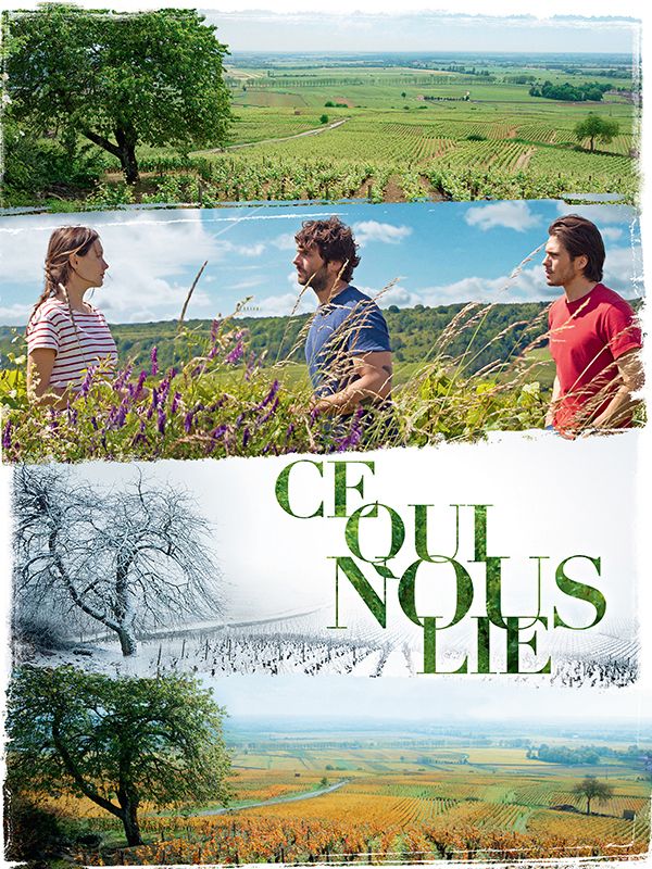 Affiche du film Ce qui nous lie