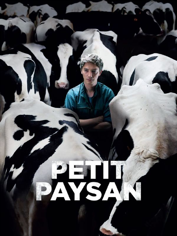 Affiche du film Petit paysan