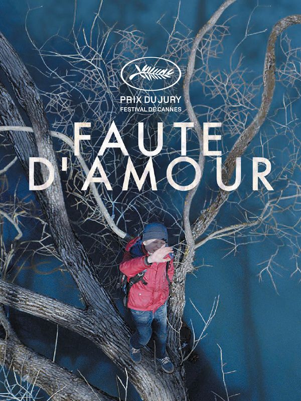 Affiche du film Faute d'amour