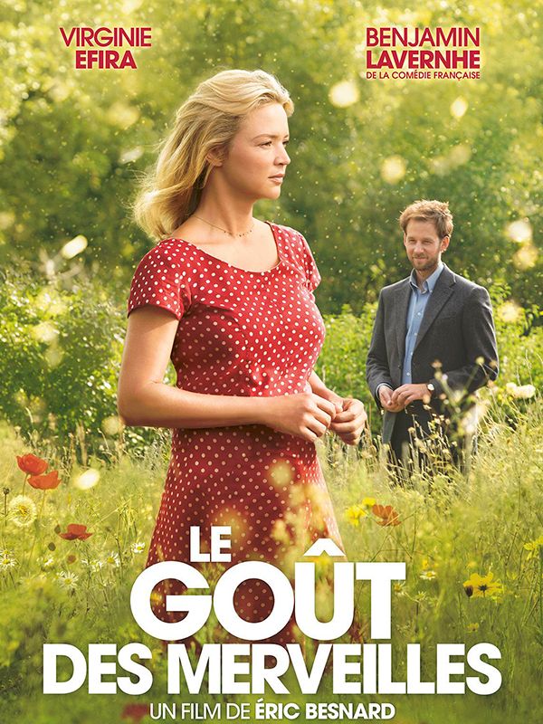 Affiche du film Le goût des merveilles