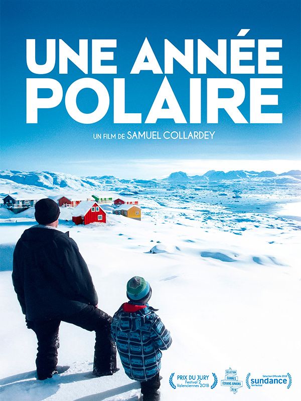 Affiche du film Une année polaire