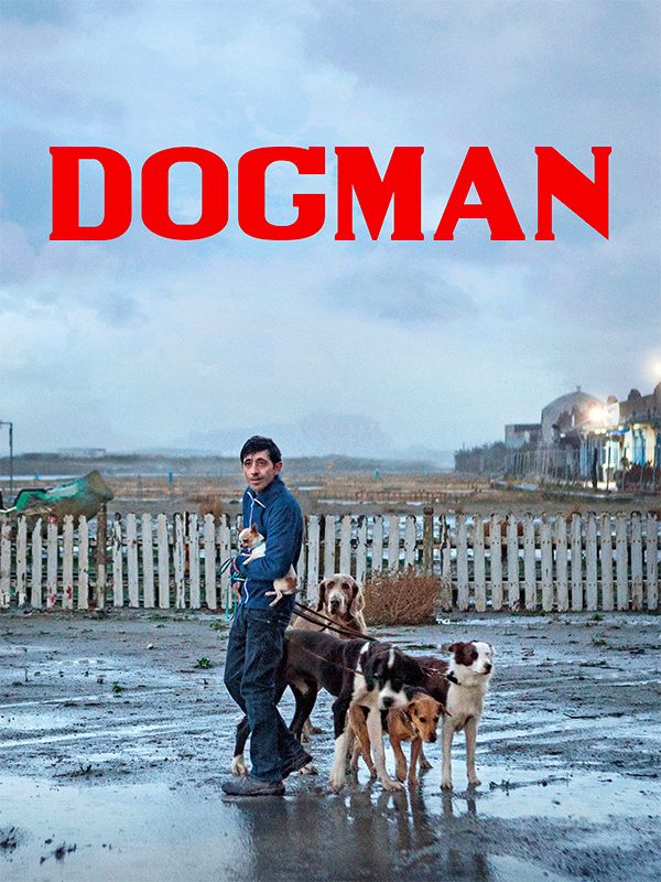 Affiche du film Dogman