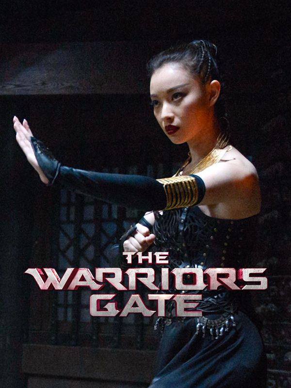 Affiche du film The Warriors Gate