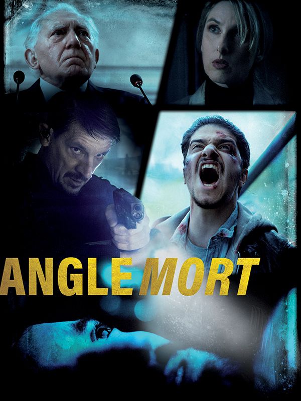 Affiche du film Angle mort