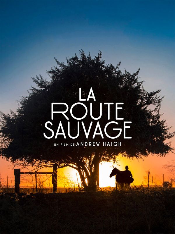 Affiche du film La route sauvage