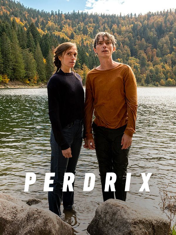 Affiche du film Perdrix