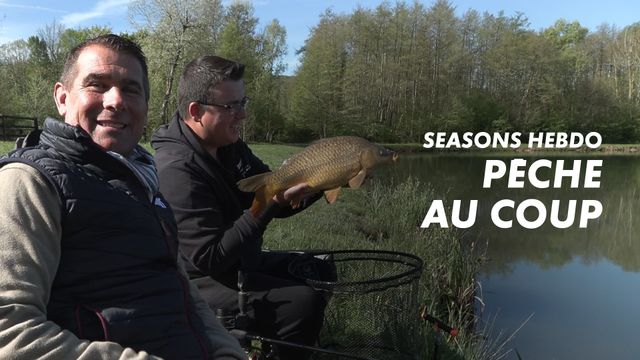 Seasons hebdo