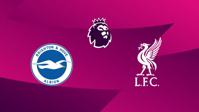 Brighton & Hove Albion / Liverpool