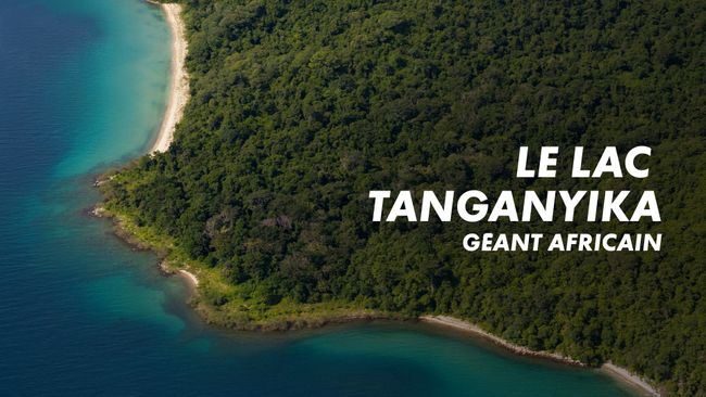 Le lac Tanganyika, géant africain