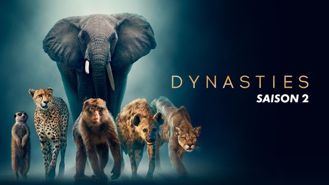 Dynasties - Saison 2