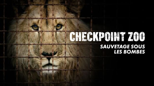 Checkpoint Zoo : Sauvetage sous les bombes
