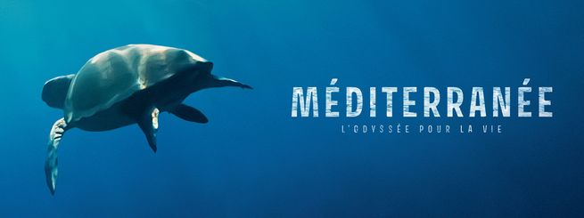 Méditerranée, l'odyssée pour la vie