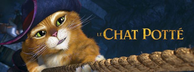 Le chat potté