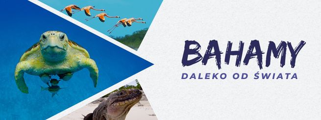 Bahamy. Daleko od świata