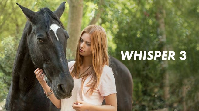 Whisper 3