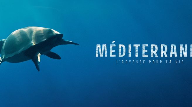 Méditerranée, l'odyssée pour la vie