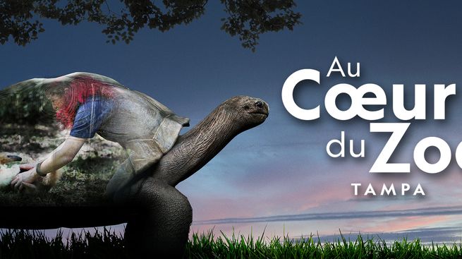 Au coeur du zoo : Tampa