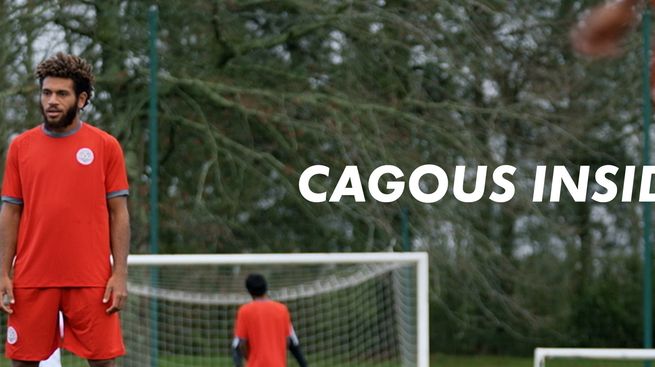 Cagous inside