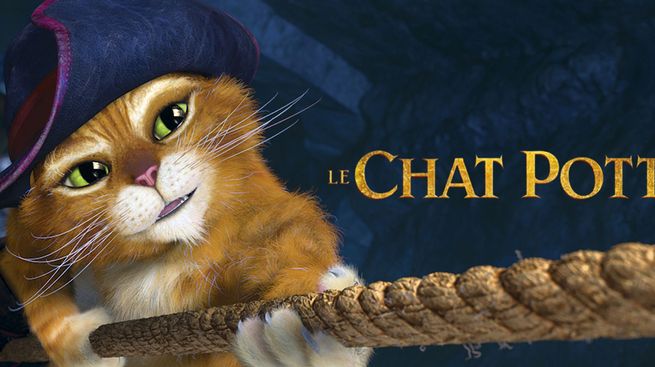 Le chat potté