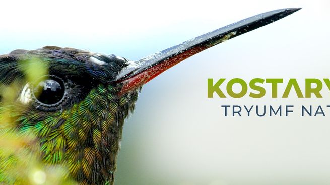 Kostaryka. Tryumf natury