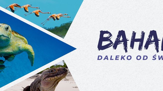 Bahamy. Daleko od świata