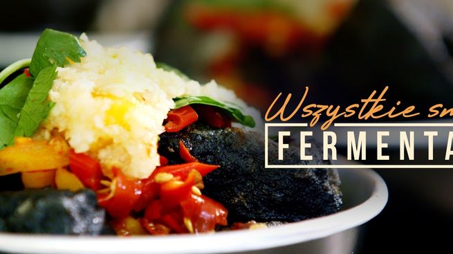 Wszystkie smaki fermentacji