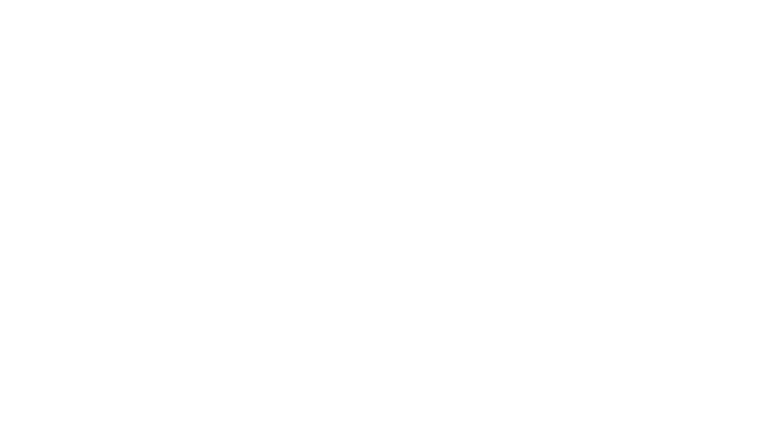 SEAL Team