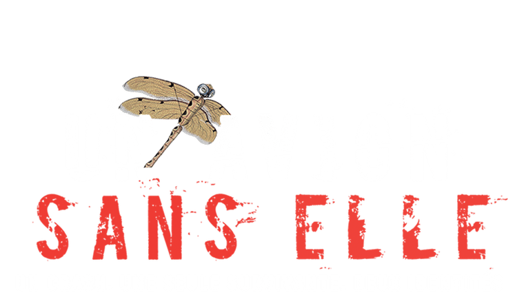 Un avion sans elle