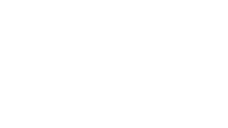 On Board F1
